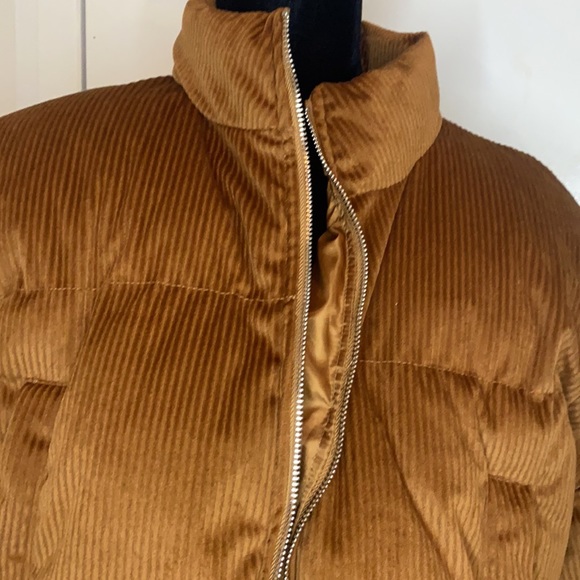 Jacket - Picture 2 of 11